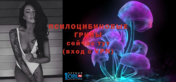 соль курить ск Алзамай