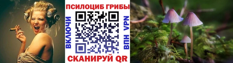 Псилоцибиновые грибы GOLDEN TEACHER  Домодедово 